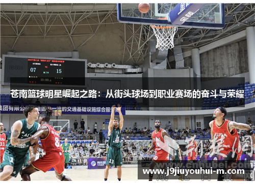 苍南篮球明星崛起之路：从街头球场到职业赛场的奋斗与荣耀