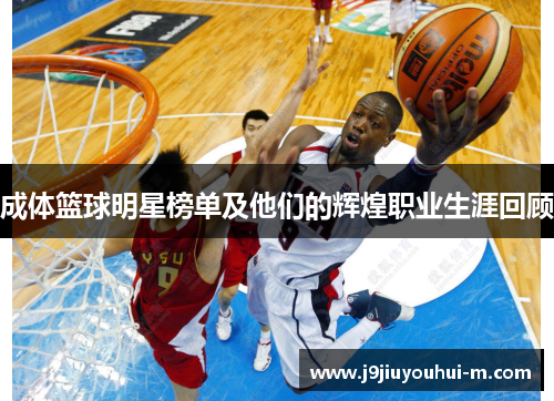 成体篮球明星榜单及他们的辉煌职业生涯回顾